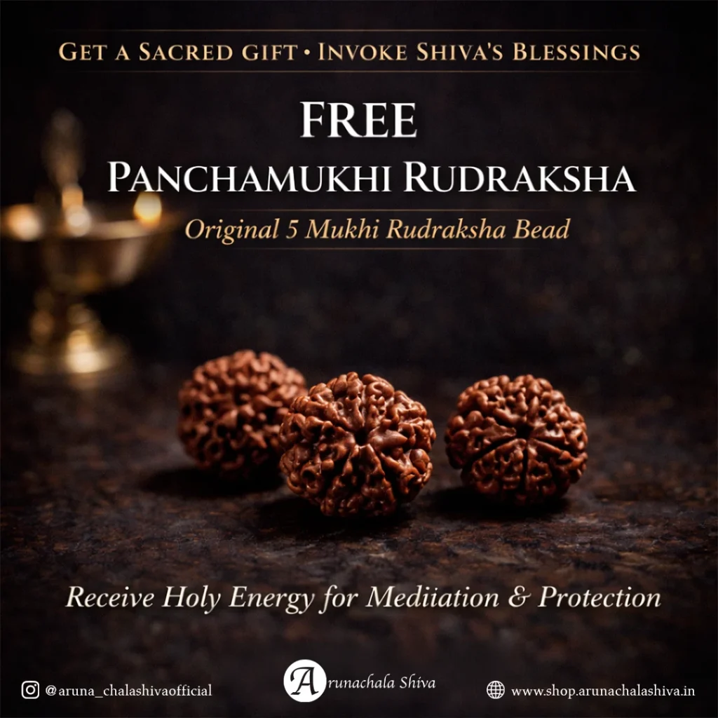Free Panchamukhi Rudraksha — 5 Mukhi Bead